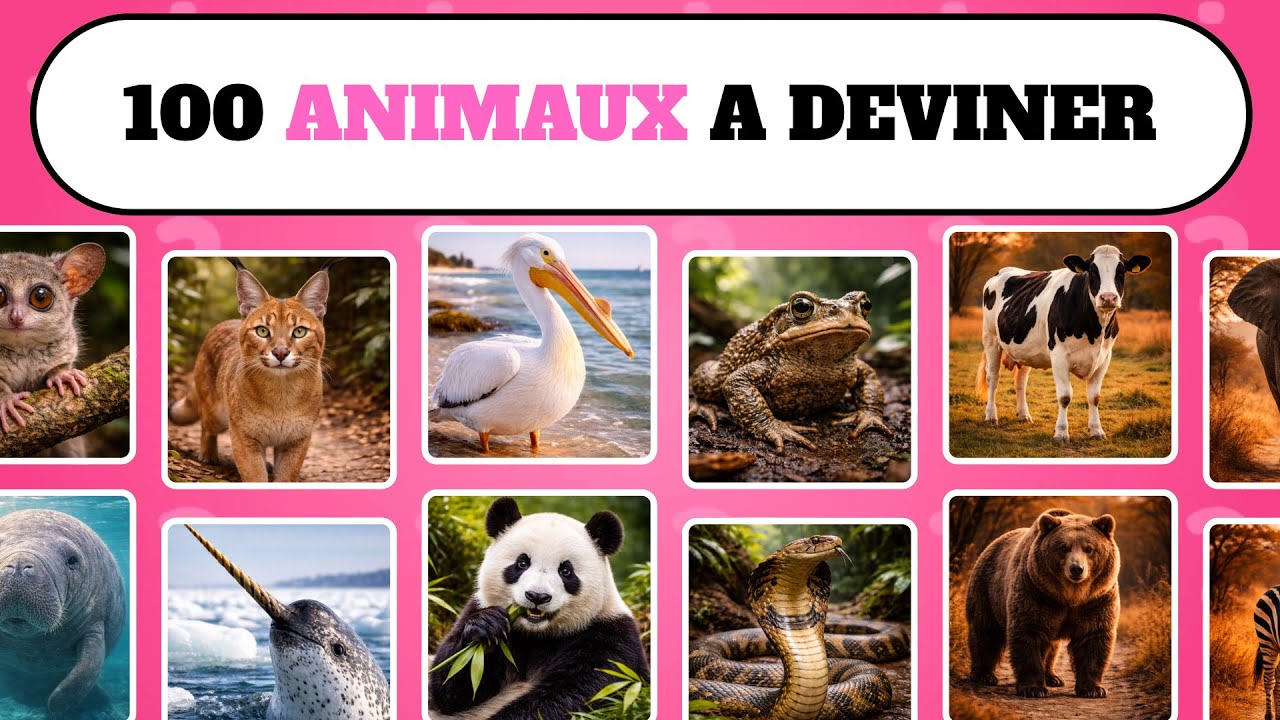 100 Animaux à Deviner 🐥🐆 Quiz Animaux