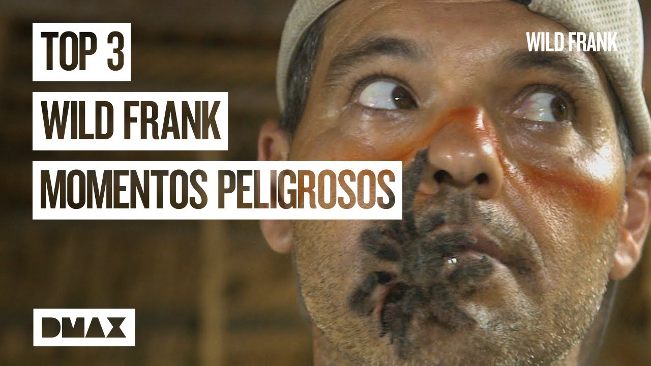 Wild Frank entre tarántulas y víboras | Wild Frank en Brasil
