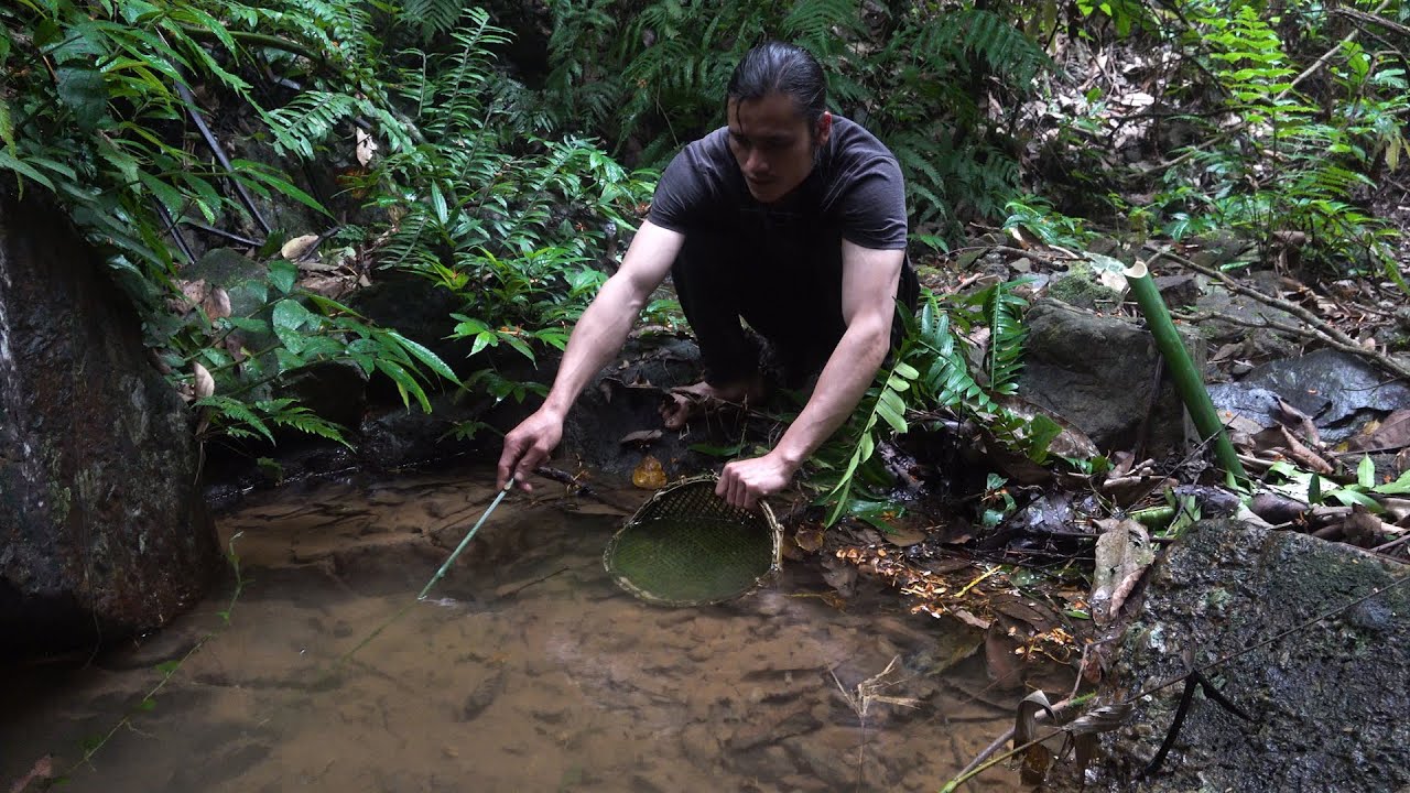 Fishing and building a new shelter - 2 years of survival in the rainforest - episode 54