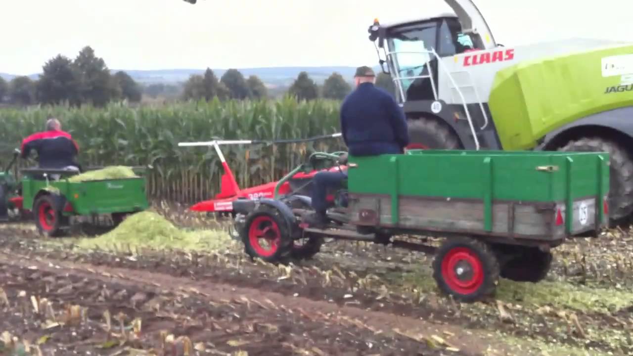 Schlepper gegen Einachser Agria 1700 Triebachser  -- Maisernte bei Heiko in Vogelbeck
