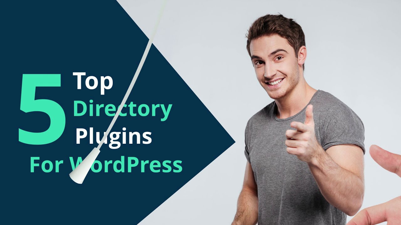 5 Top #wordpress directory plugins