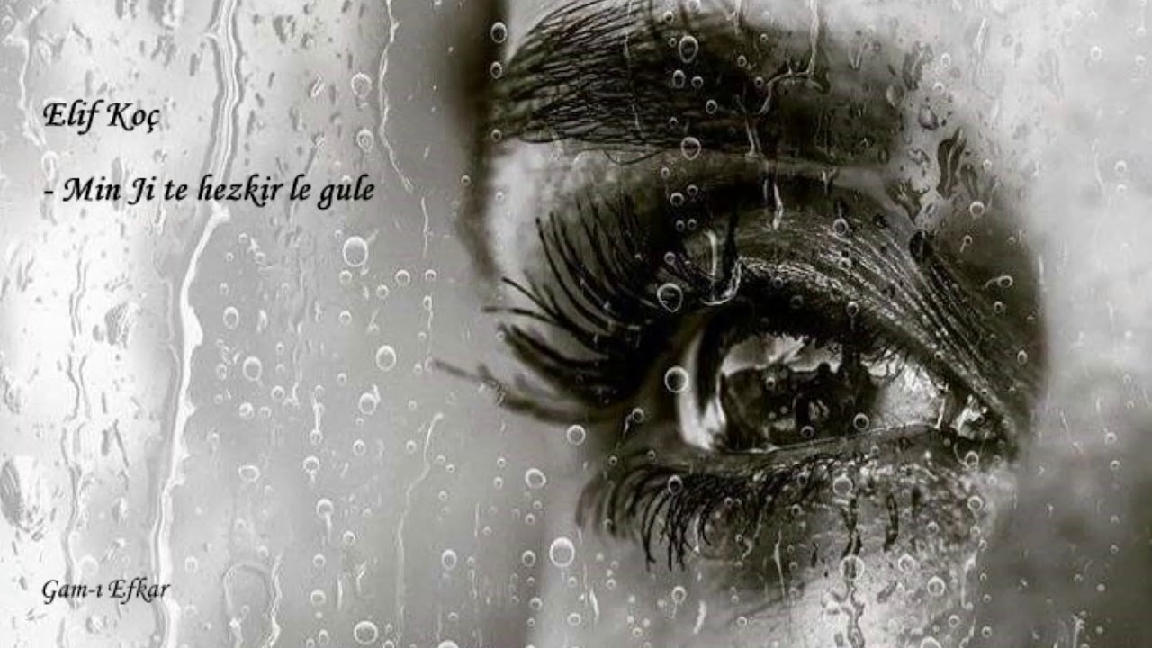 Elif Koç - Min ji te hezkir lê Gulê