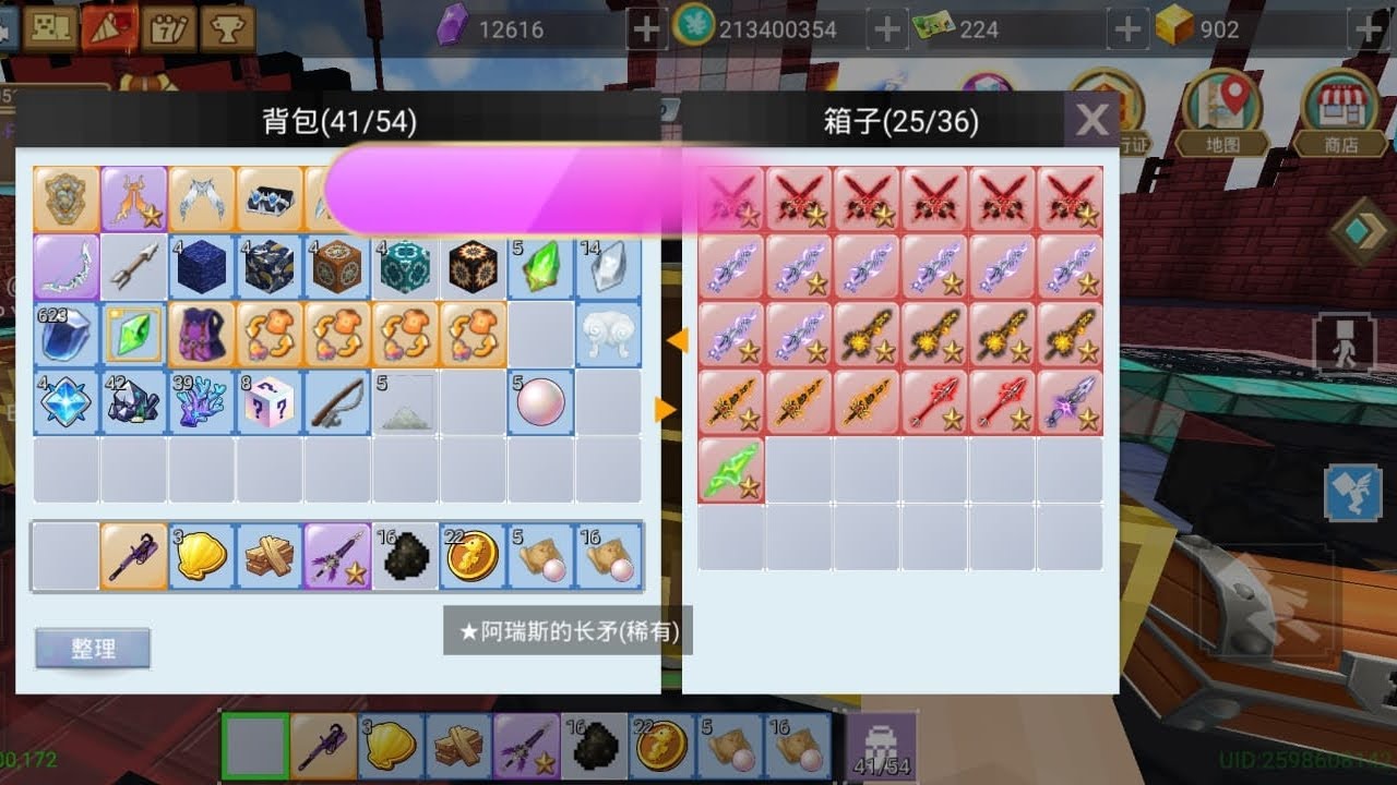 忘記發 SkyBlock xd