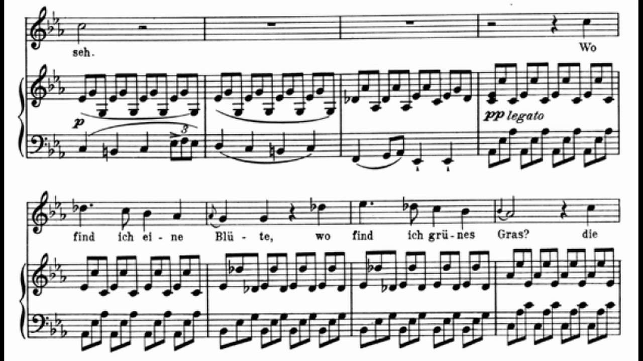 [H] 4. Erstarrung (F. Schubert) Op.89 in c / Piano accompaniment