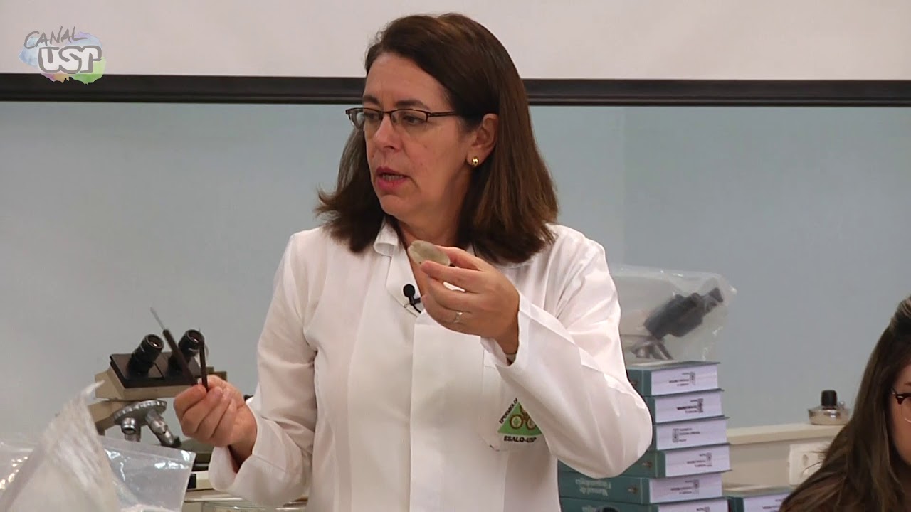 Aula 4 (Prática) Classificação de doenças de plantas - Grupos de McNew (3/3)