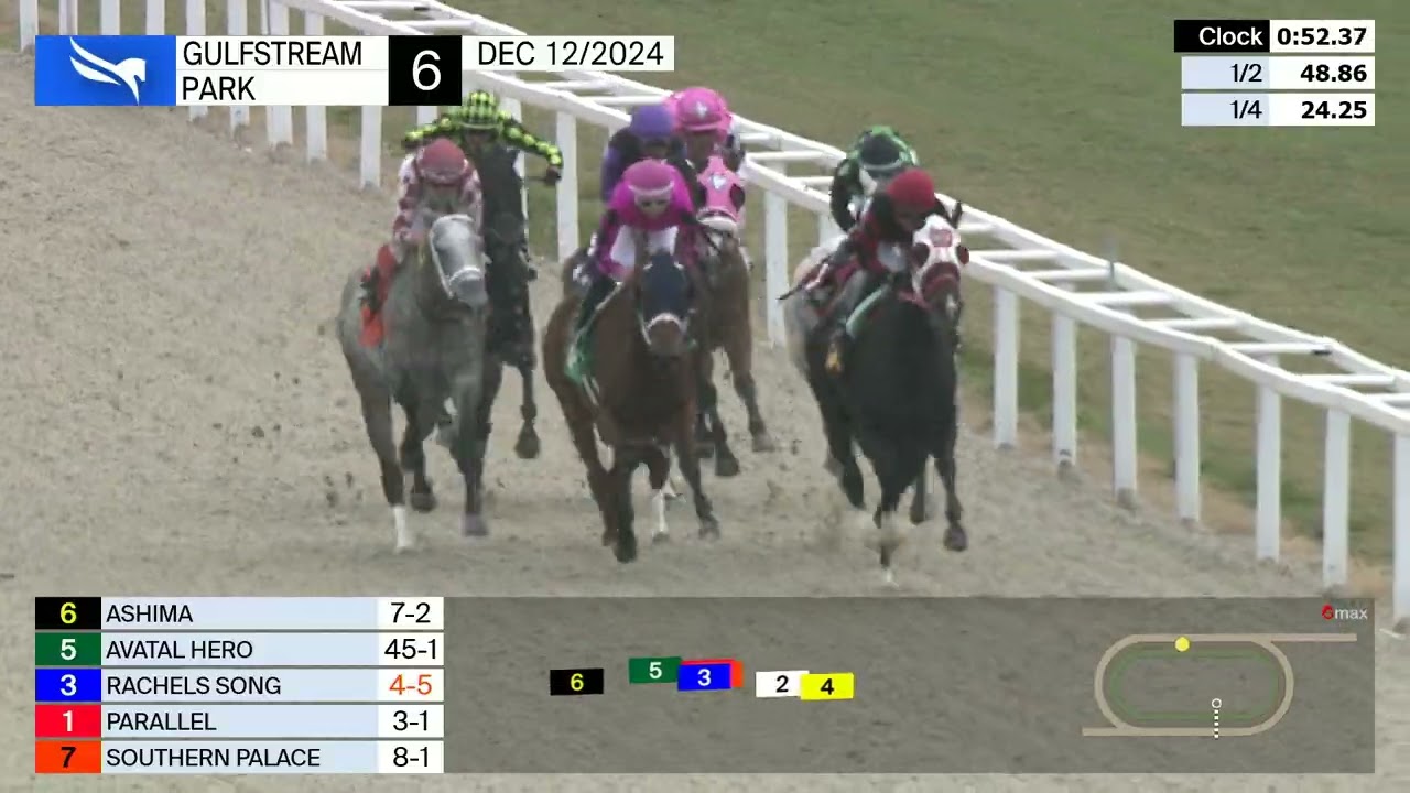 Gulfstream Park December 12, 2024 Race 6