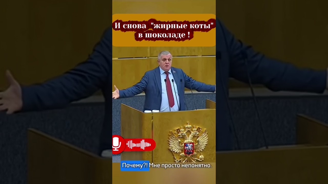 КПРФ про жирных котов.