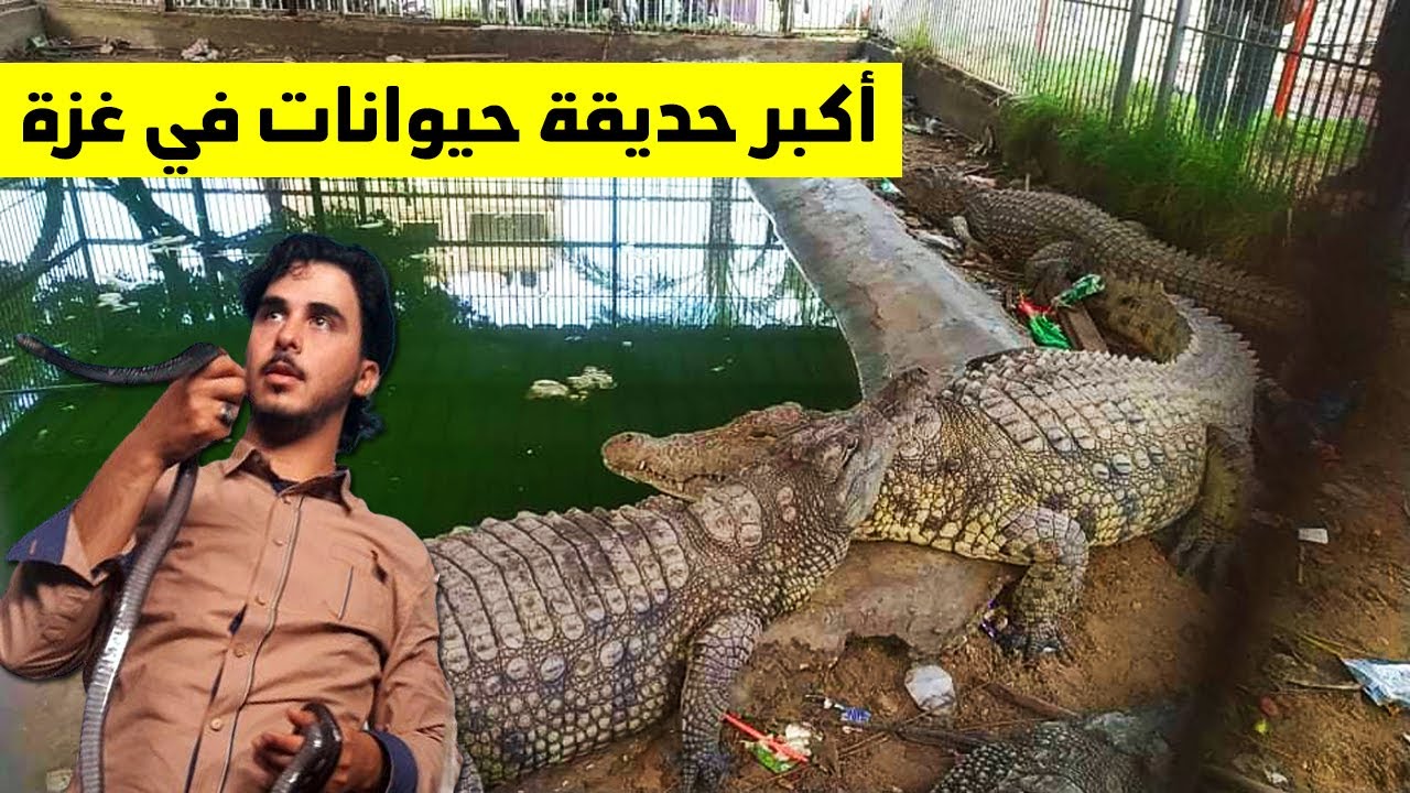 أكبر حديقة حيوانات في غزة .. شاهد ماذا وجدنا 😱 أسود وضباع !! مع فضل نبهان
