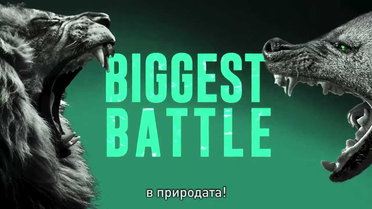 Лъвове и хиени по Viasat Nature