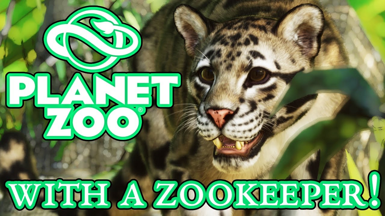 Planet Zoo with a ZOOKEEPER! - Building a Clouded Leopard enclosure! - Planet Zoo