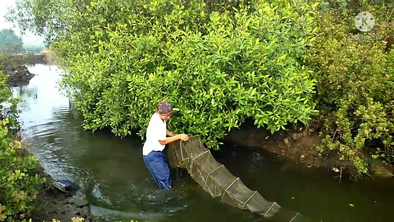 CUKUP DENGAN BUBU NAGA, TIDAK PERLU BELI KEPITING,IKAN DLL.... MANTAP HASIL DARI BUBU NAGA....