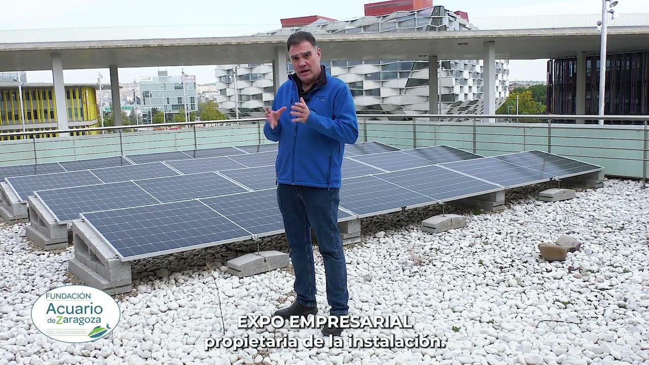 Proyecto de Sostenibilidad del Acuario de Zaragoza