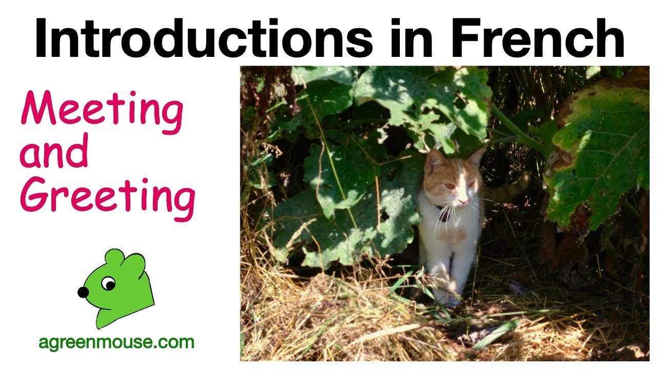 Meeting and Greeting in French Video for Kids: How to introduce yourself + others in French