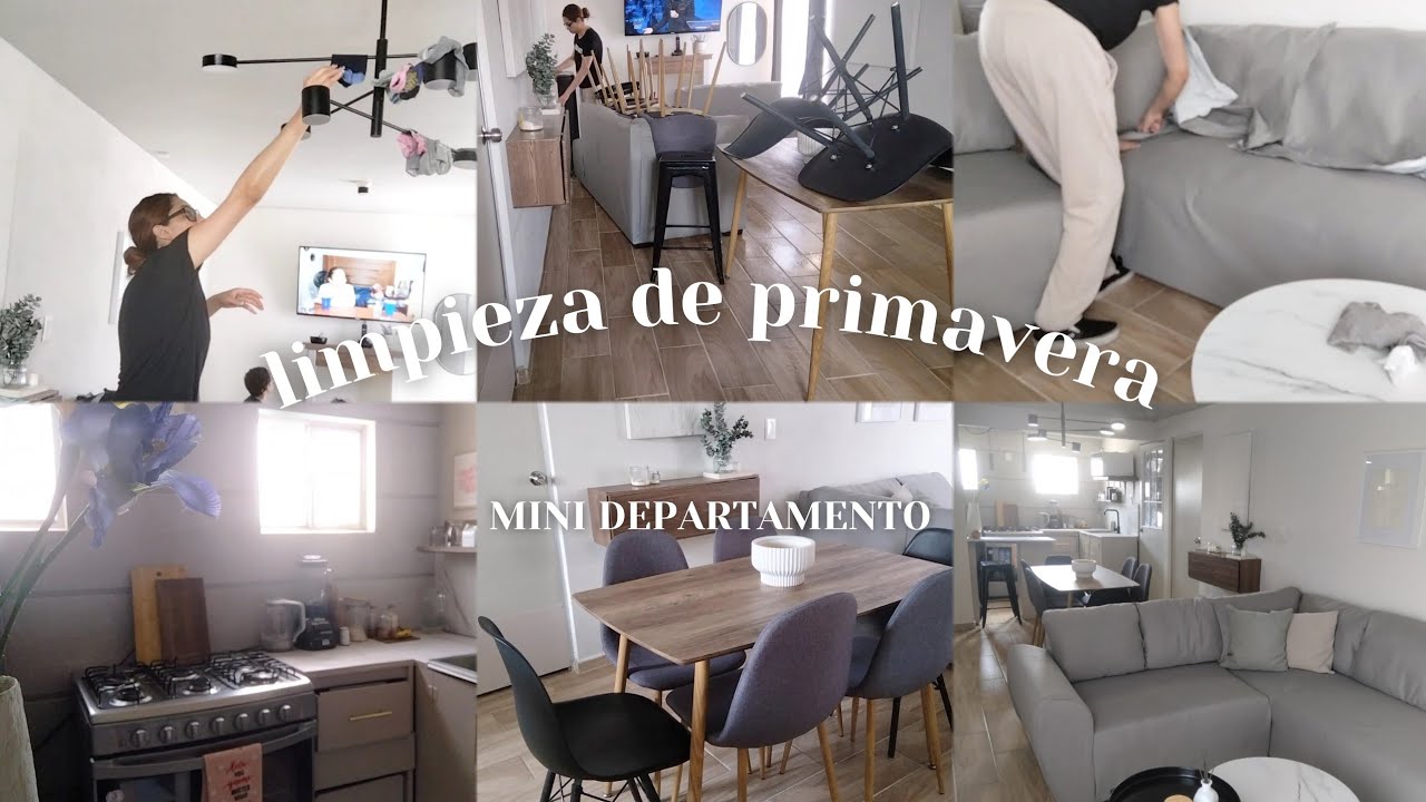 LIMPIEZA REAL DE PRIMAVERA 2023 MINI DEPARTAMENTO.