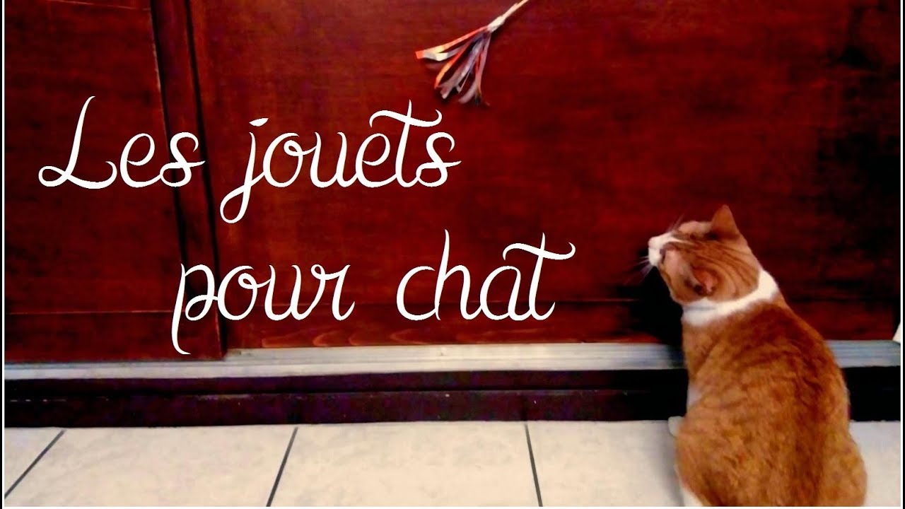 DIY [Récup'] : Fabriquer des jouets pour chat avec 3 fois rien !