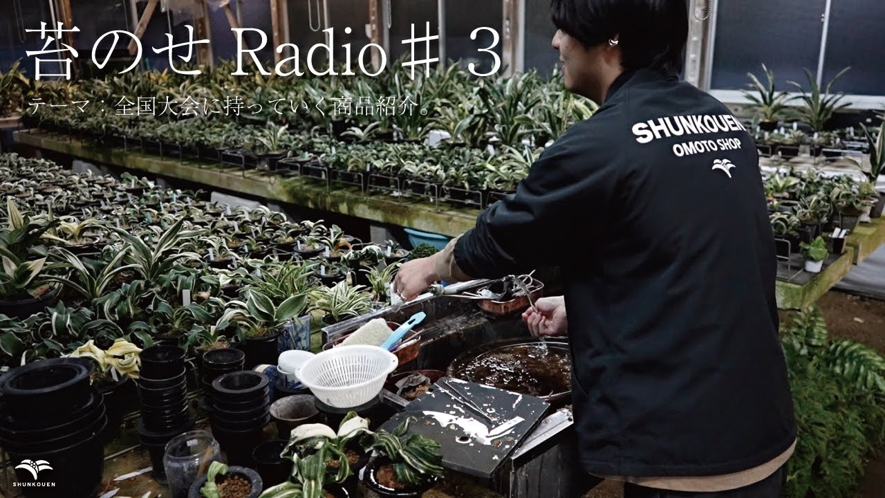 苔のせRadio♯３ テーマ：全国大会に持っていく商品