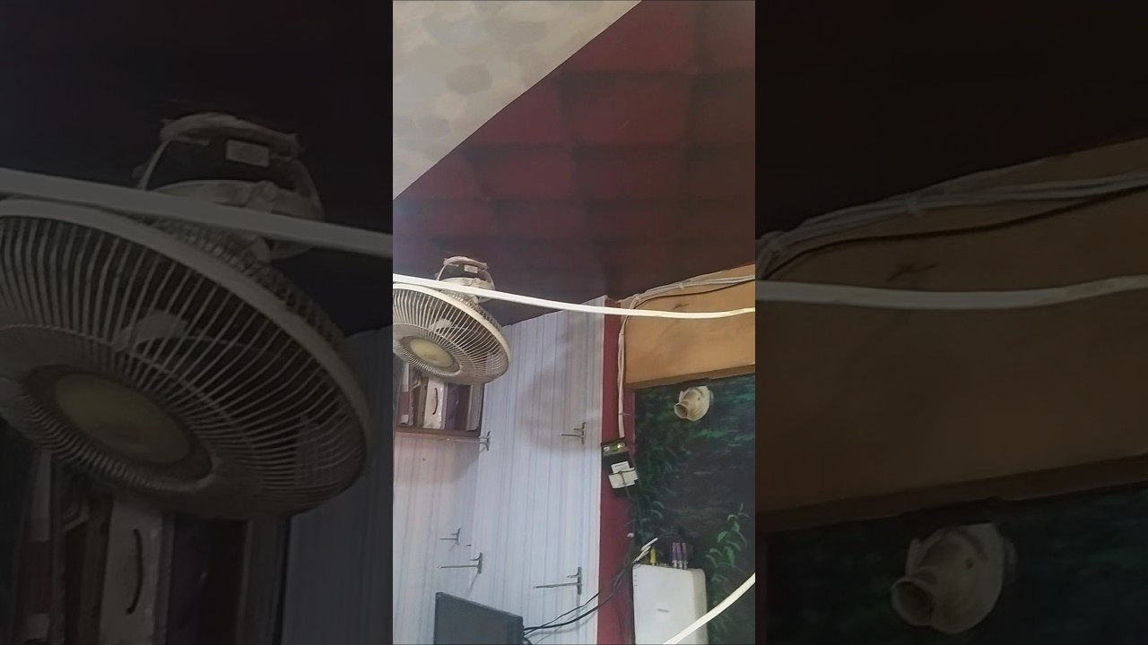 😱 ये Wallpaper Design देख कर सब हैरान रह गए! 