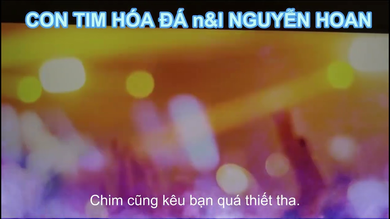 CON TIM HÓA ĐÁ remix n&l NGUYỄN HOAN