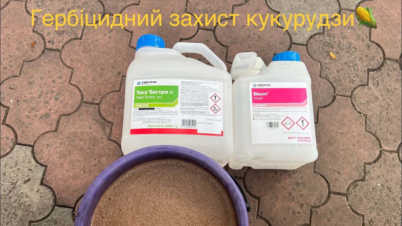 Гербіцидний захист кукурудзи🌽 на зерно‼️ Таск Екстра від всих бур’янів одне рішення❌