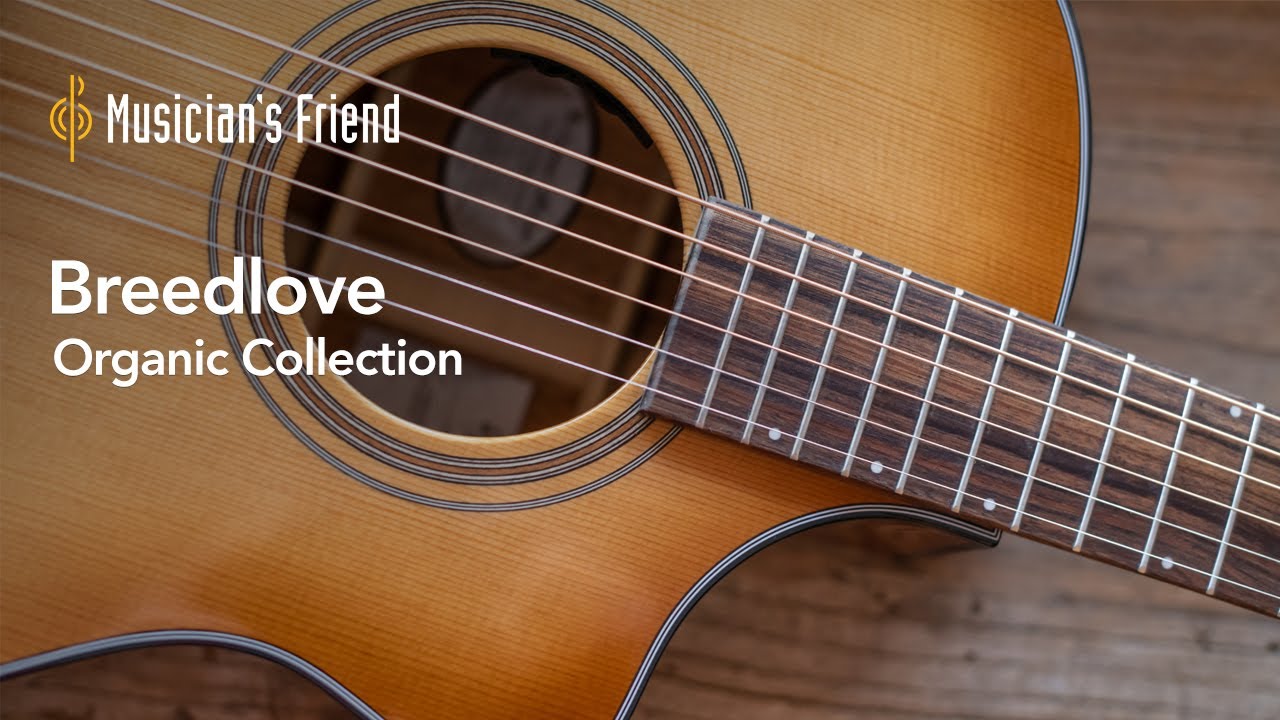 A Closer Look at the Breedlove Organic Collection Acoustic Guitars
