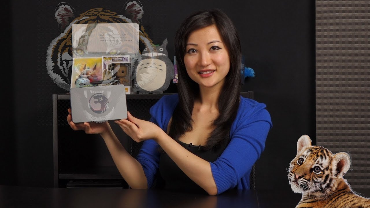 Tiger T4X Stream Box: Overview