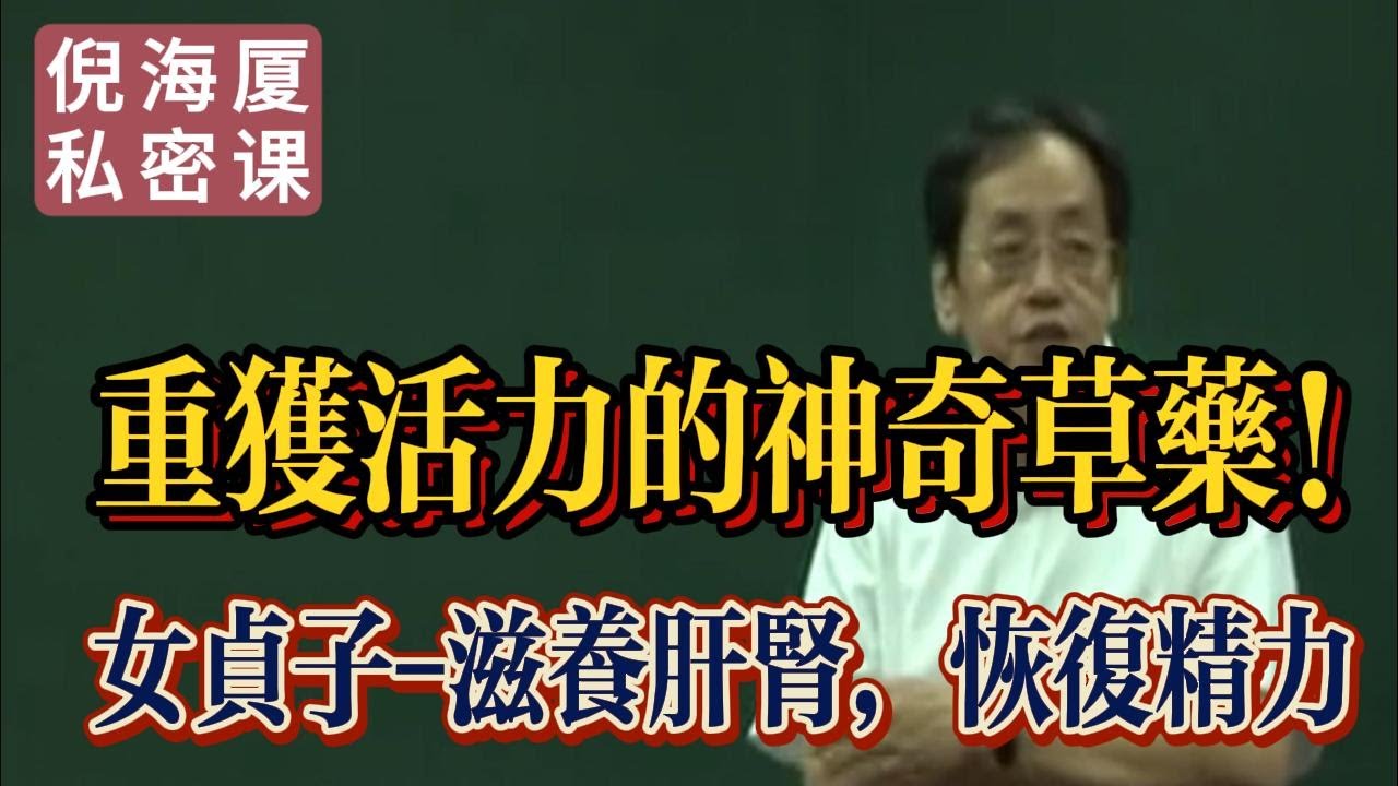 【倪海廈私密課】女貞子：讓你重獲精力的果實 | 中醫的補肝腎秘方