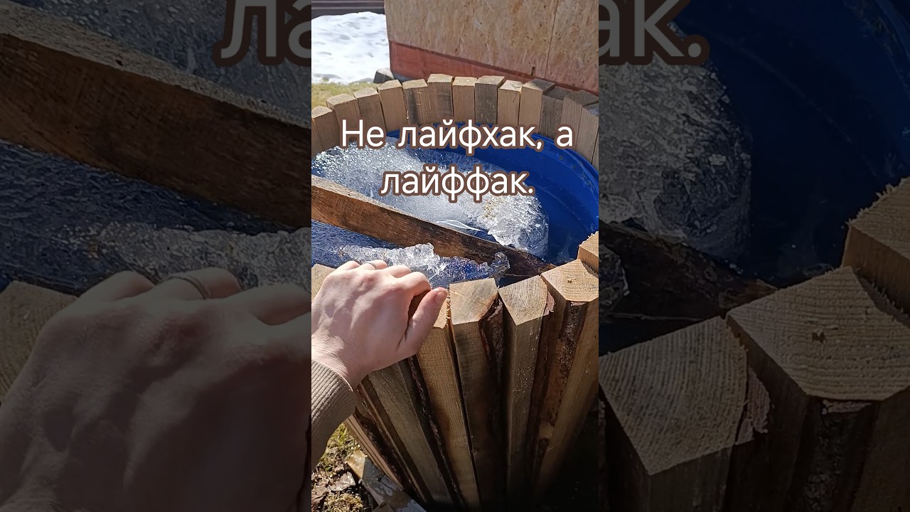 Шокирующая правда о лайфхаке с бочкой #дача #сад #огород #липоваядача
