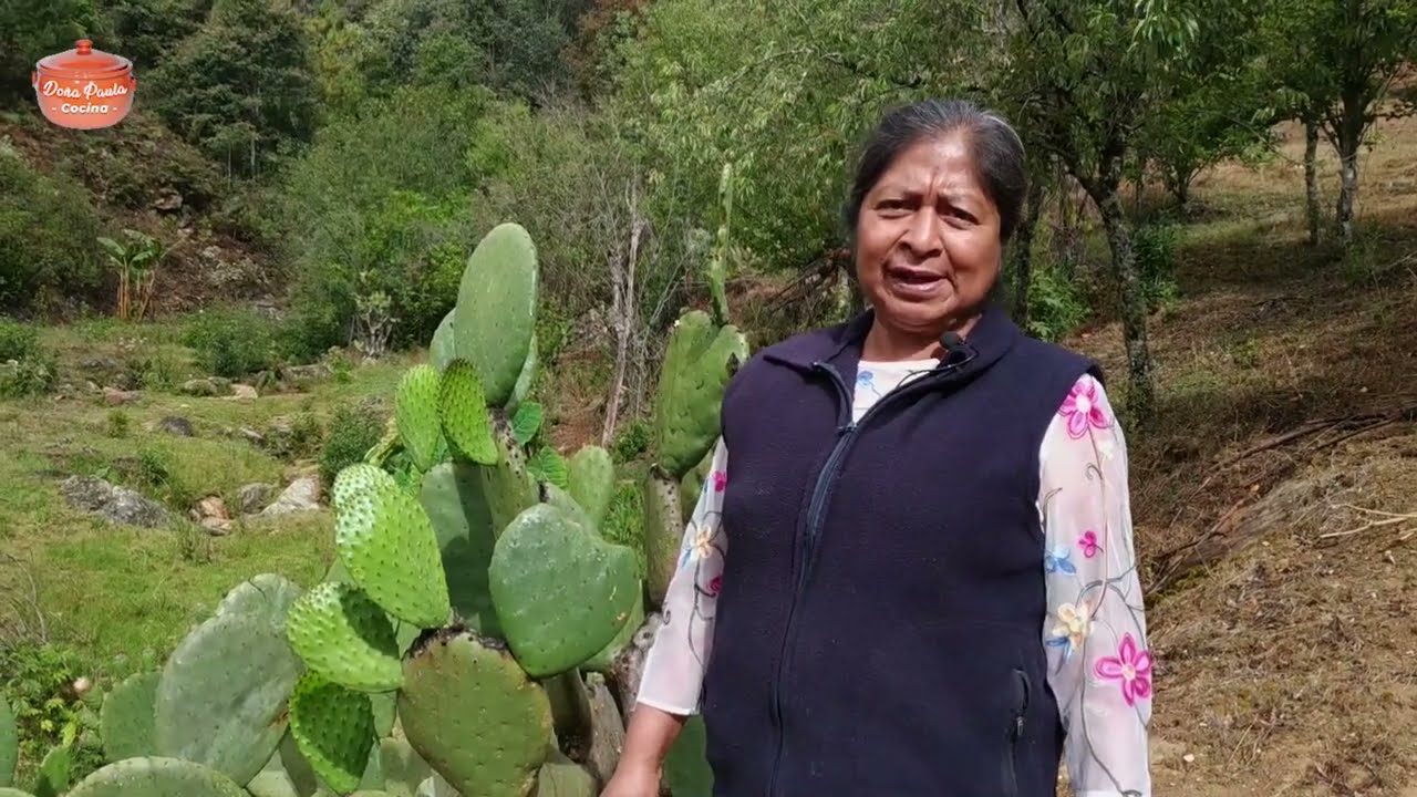Preparo unos ricos nopales en salsa y chicharos tiernos
