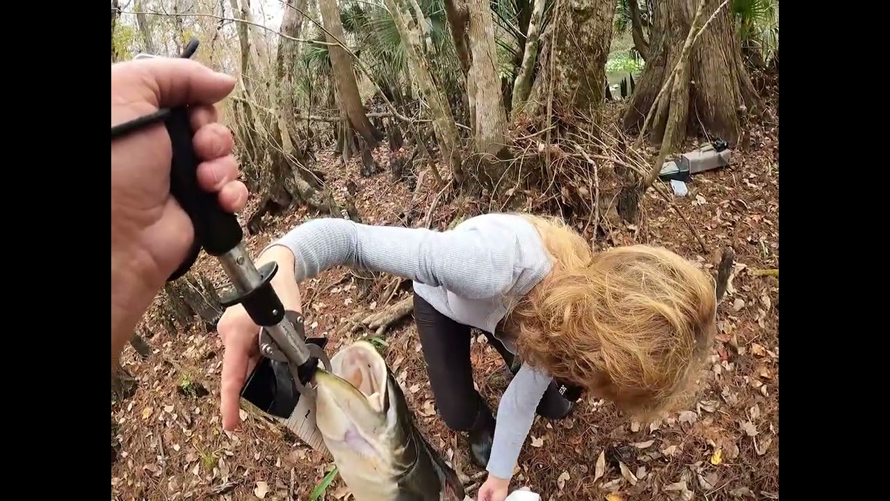 Christmas creek fishing in the Ocala National Forest