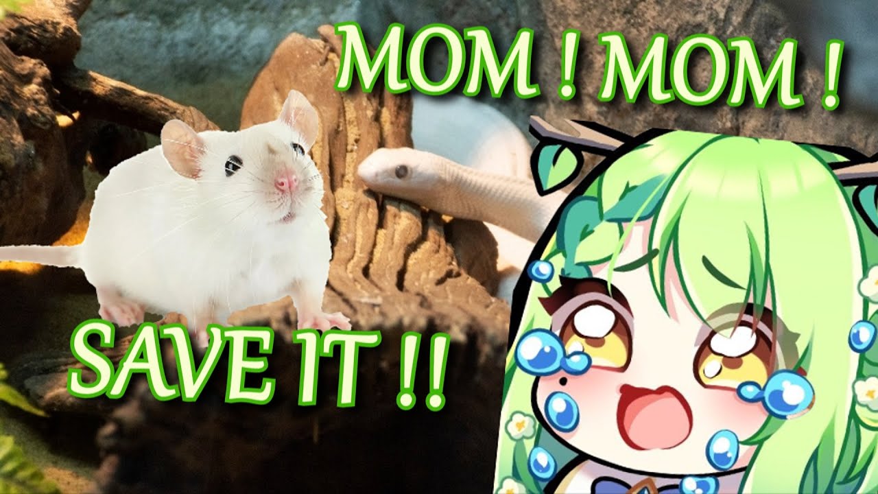 The day Mama Kirin saved a feeder mouse to calm down a panicking Fauna