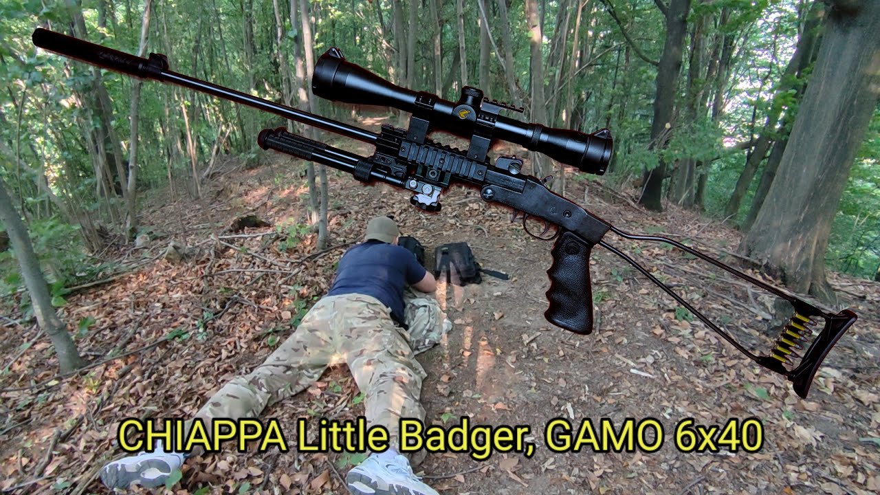 Chiappa Little Badger, Gamo 6x40, мелкашка