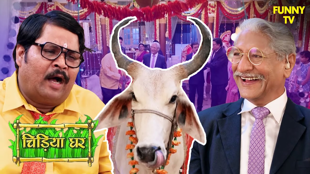 केसरी नारायण ने क्यों रखी जानवरों के लिए Party | Chidiya Ghar | Funny Video | Funny
