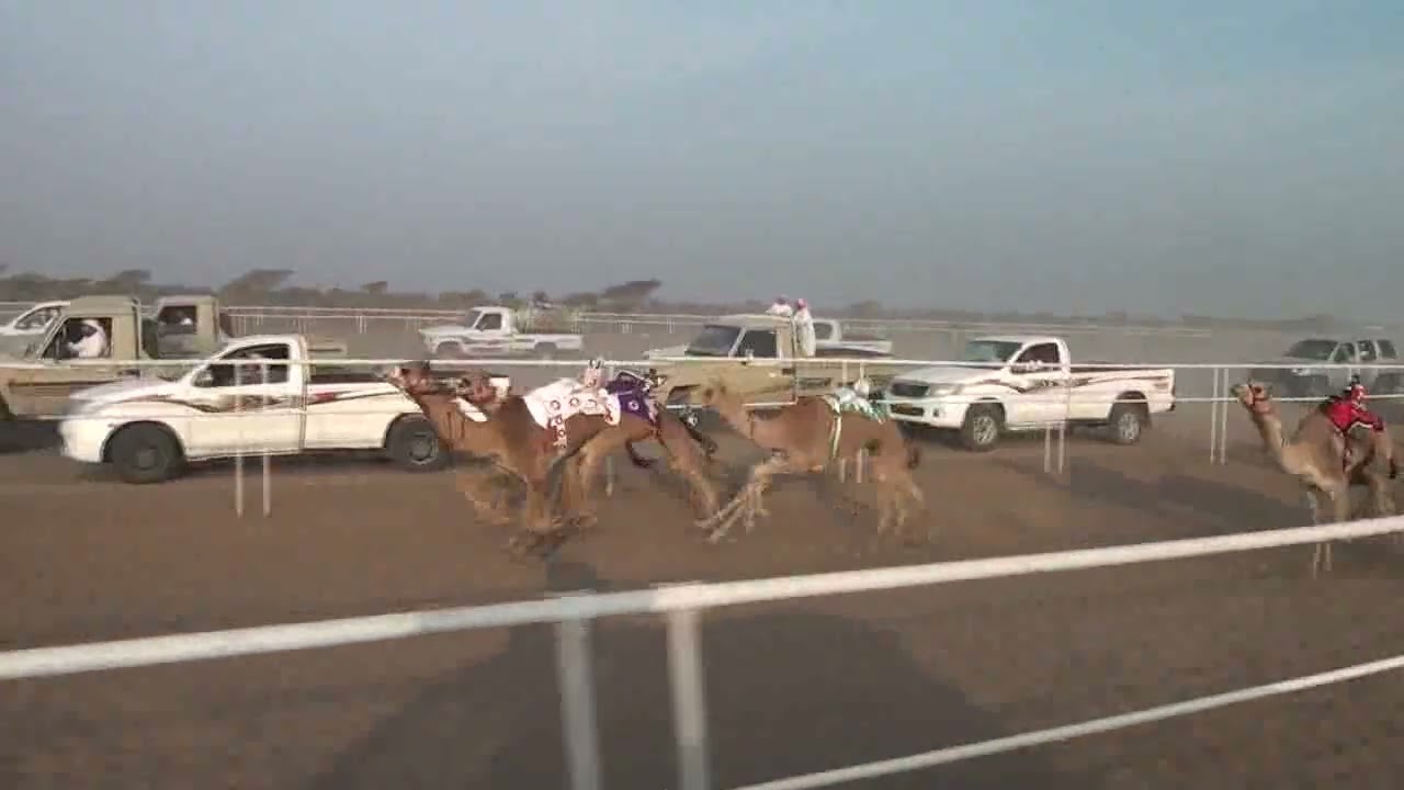 مركاض بديه الشوط التاسع