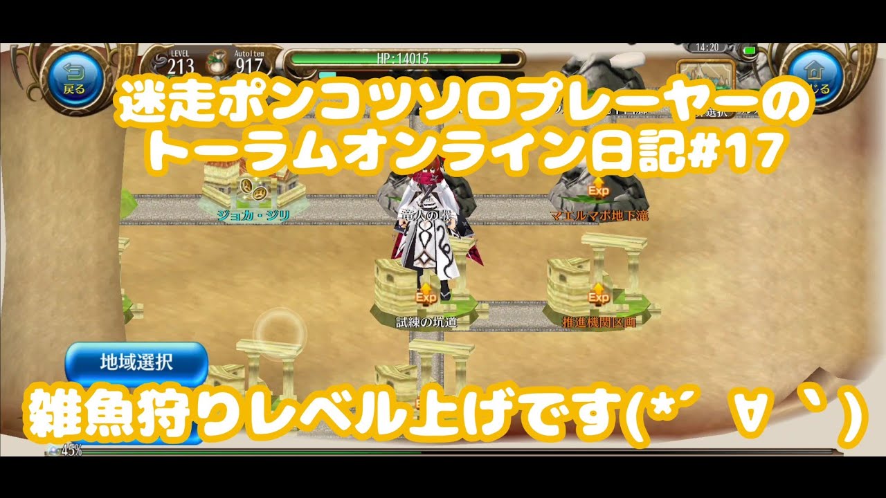 迷走ポンコツソロプレーヤーのトーラムオンライン日記#17