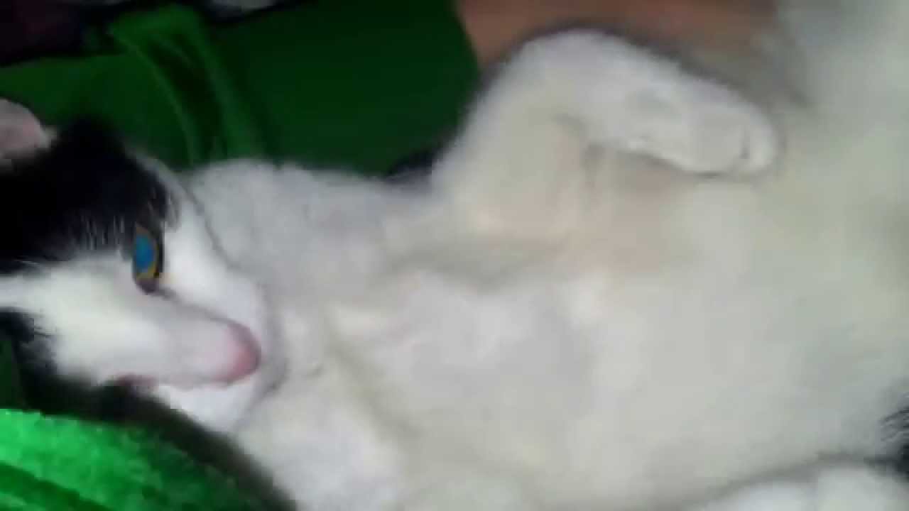 juliver's chill-out mode