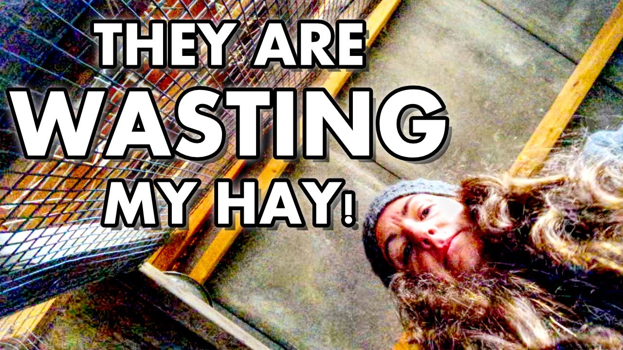 Trying To Stop Wasted Hay In Our Rabbitry