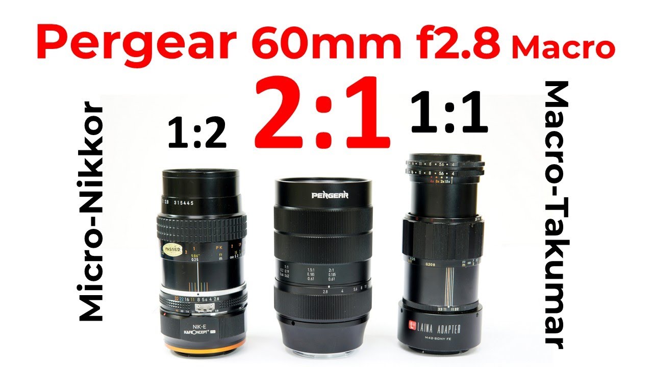 How good is 2x macro photography!  Pergear 60mm Ultra-Micro lens and pareidolia images.