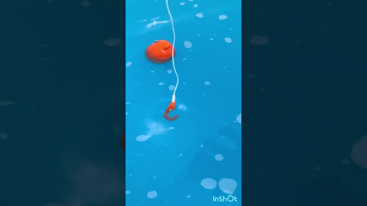 【おふろ釣りボム🎣第③弾🐟開封3,4個目】#Fischer #フィッシャーズ　#おふろ釣りボム　#釣り　#shorts