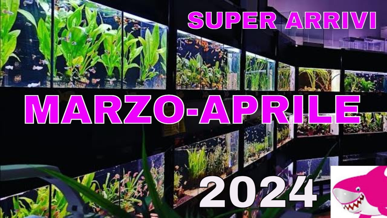 NUOVI SUPER ARRIVI per allestire un acquario tropicale  by Tropicalmania