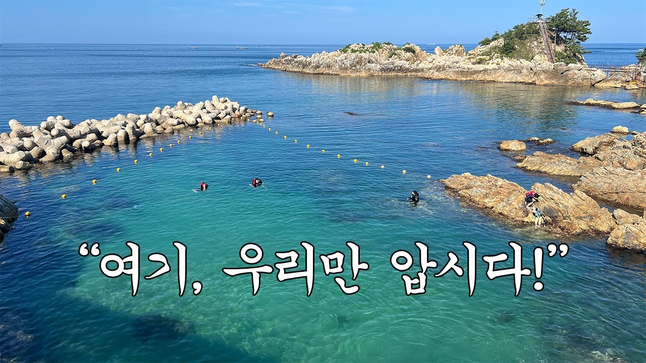평범한 여행, 하지만 특별한 바다! 동해 스노클링 명소 용화방파제🤿 삼척여행 브이로그