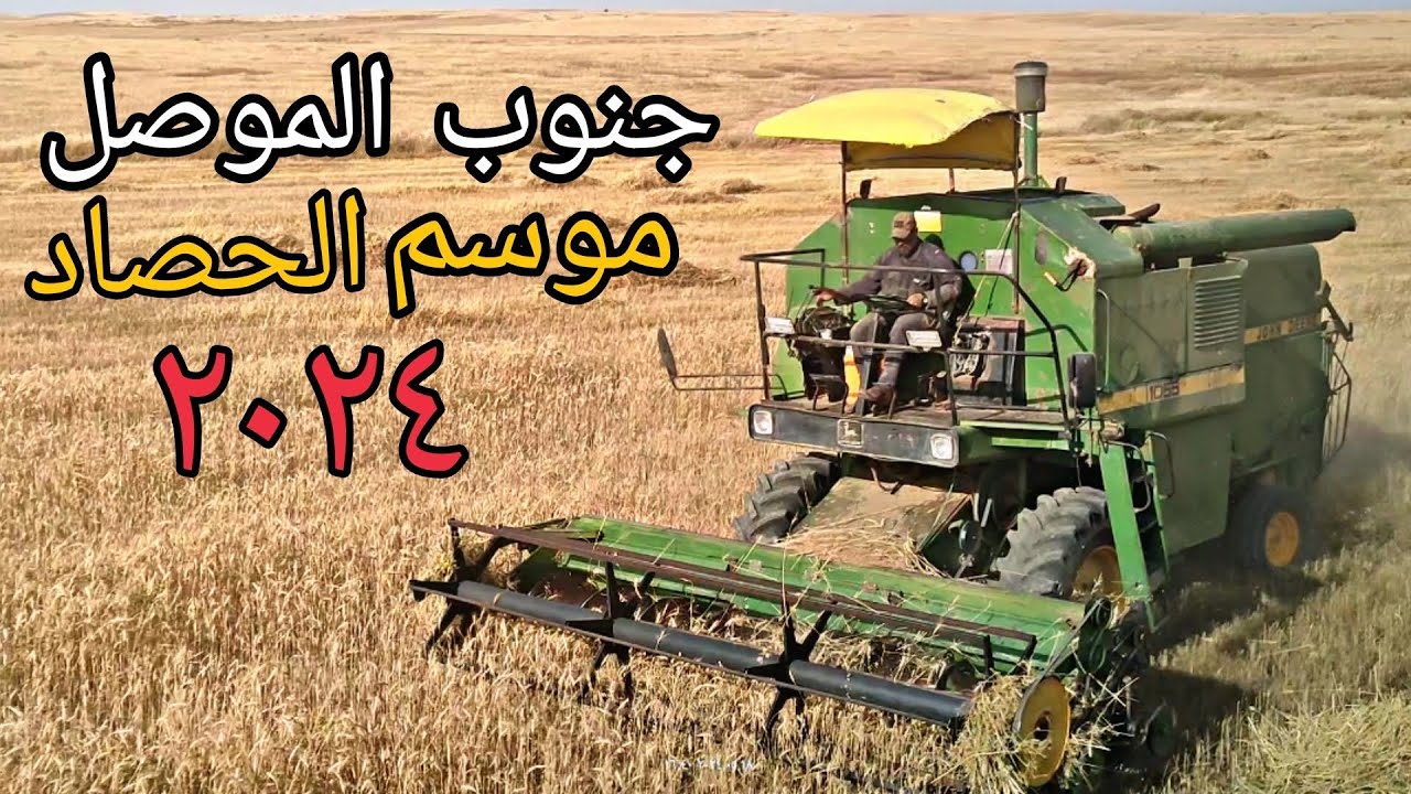 موسم الحصاد في العراق 2024