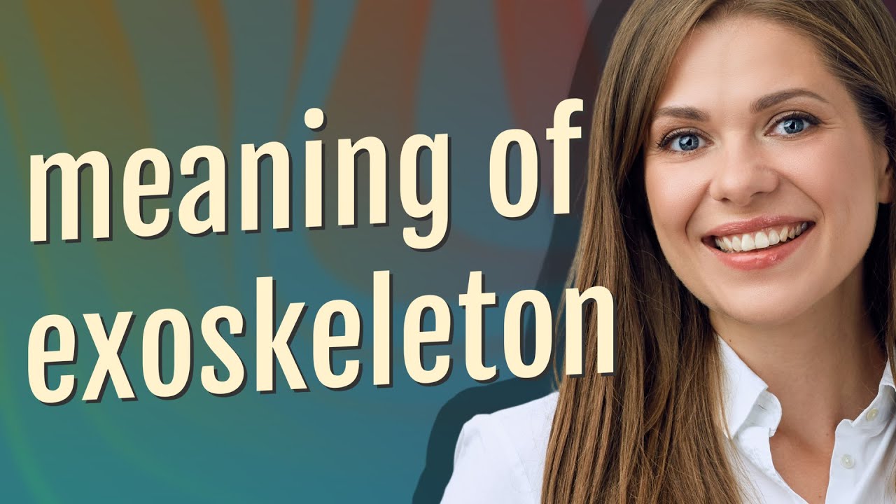 Exoskeleton | meaning of Exoskeleton