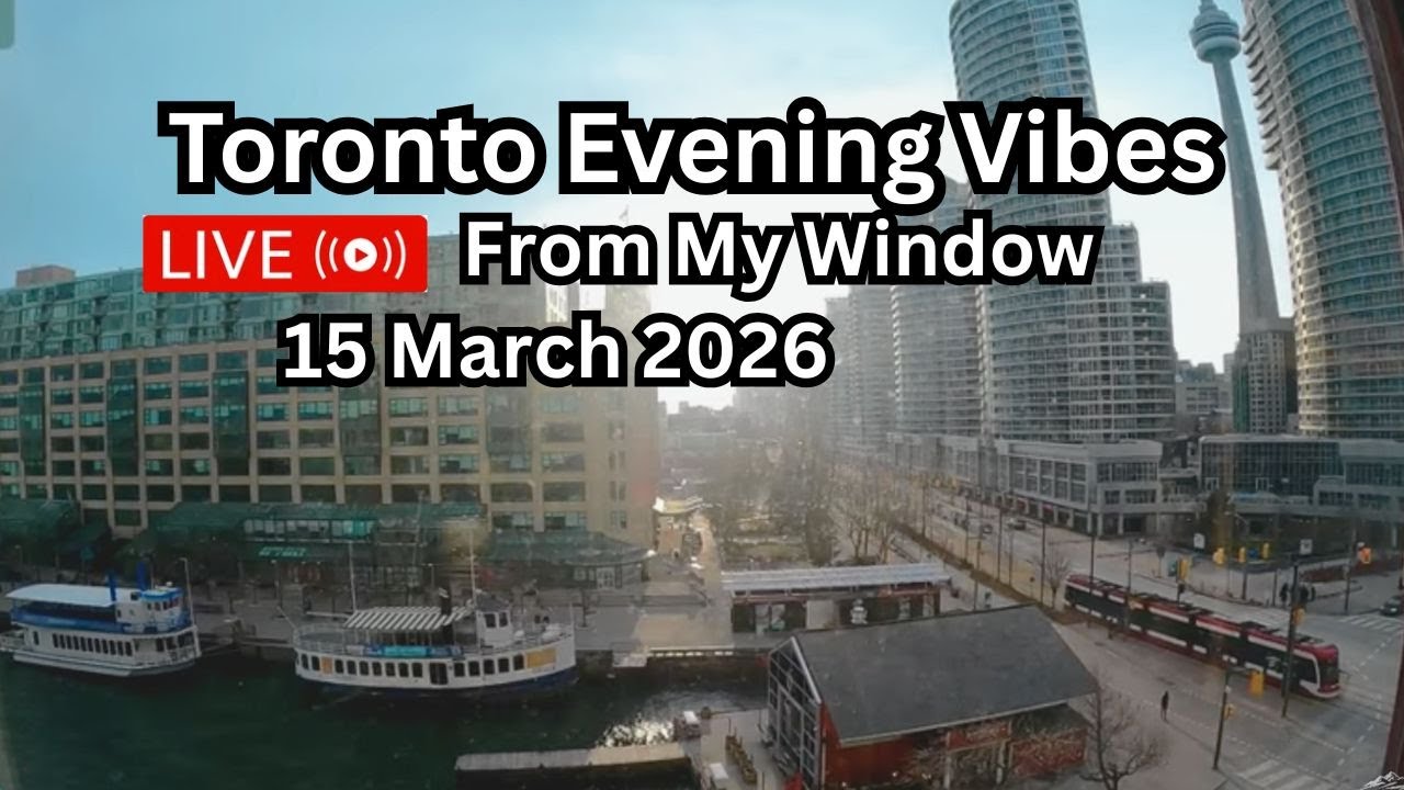 🔴Toronto Window Cam LIVE HD | MaoChow Adventure 15th March 2026 Windy Evening vibes