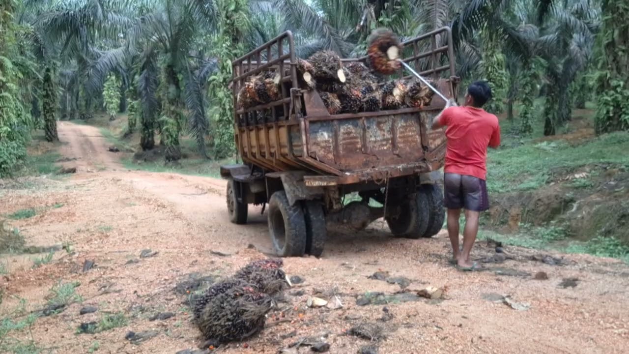Muatan mobil kuno,ngk di ragukan lagi