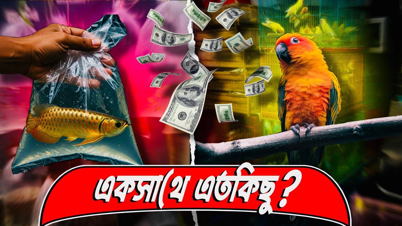 এই হাটে মিলবে অসাধারণ সব দুর্লভ মাছ ও পাখি ‼️| Inside Aquarium