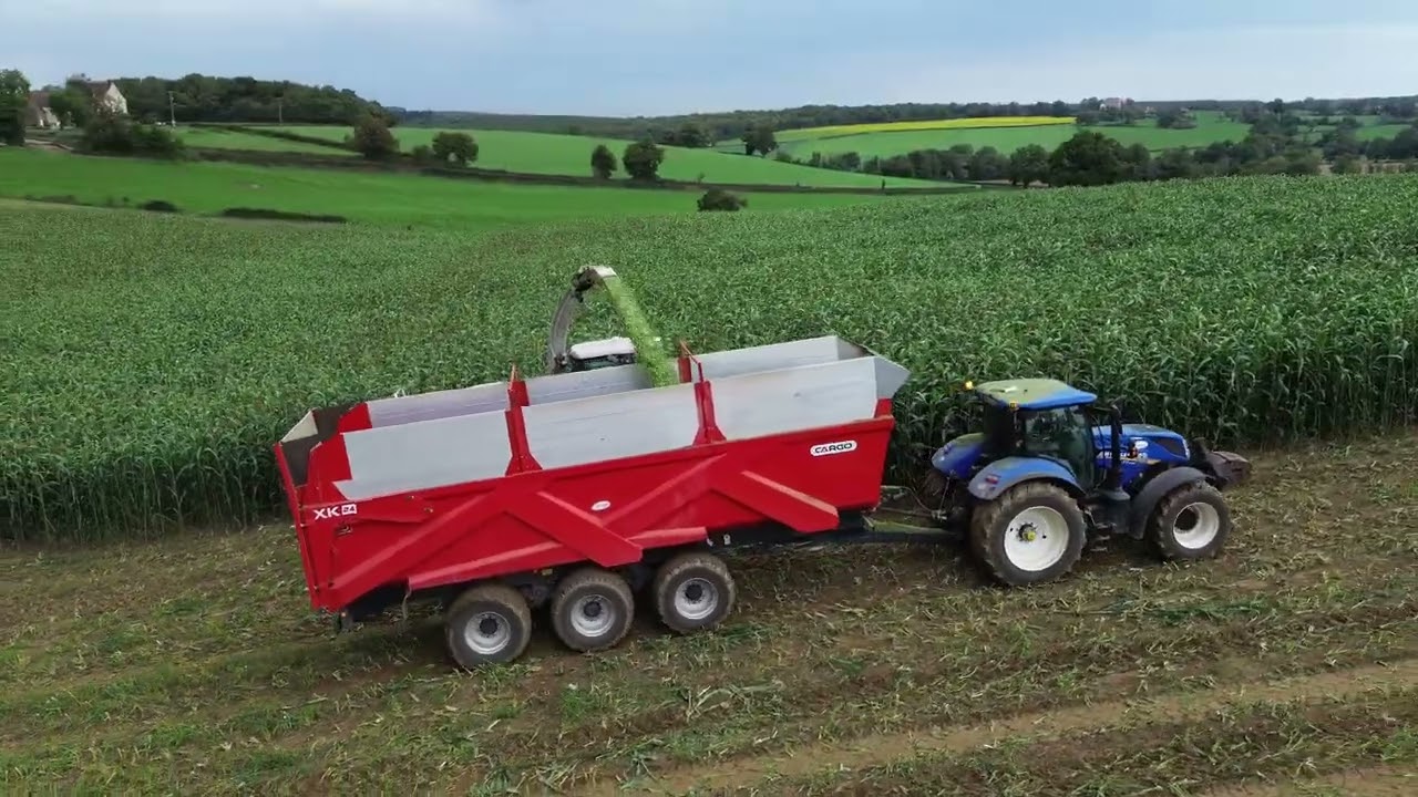 Ensilage Sorgho/ 2 bennes 3 essieux/ Claas Jaguar 930