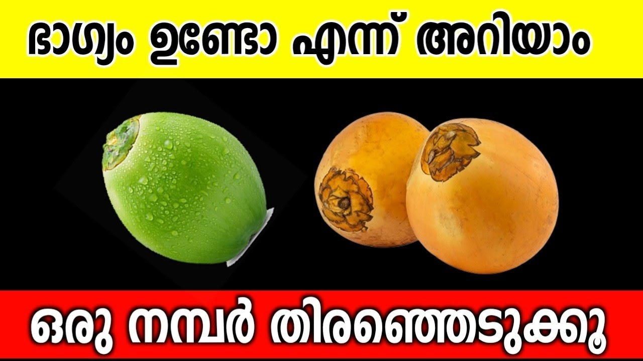 രണ്ടിൽ ഒന്ന് തൊടാമോ !? അറിയാം നിങ്ങളുടെ ജീവിതം എങ്ങനെയാണ് എന്ന് 