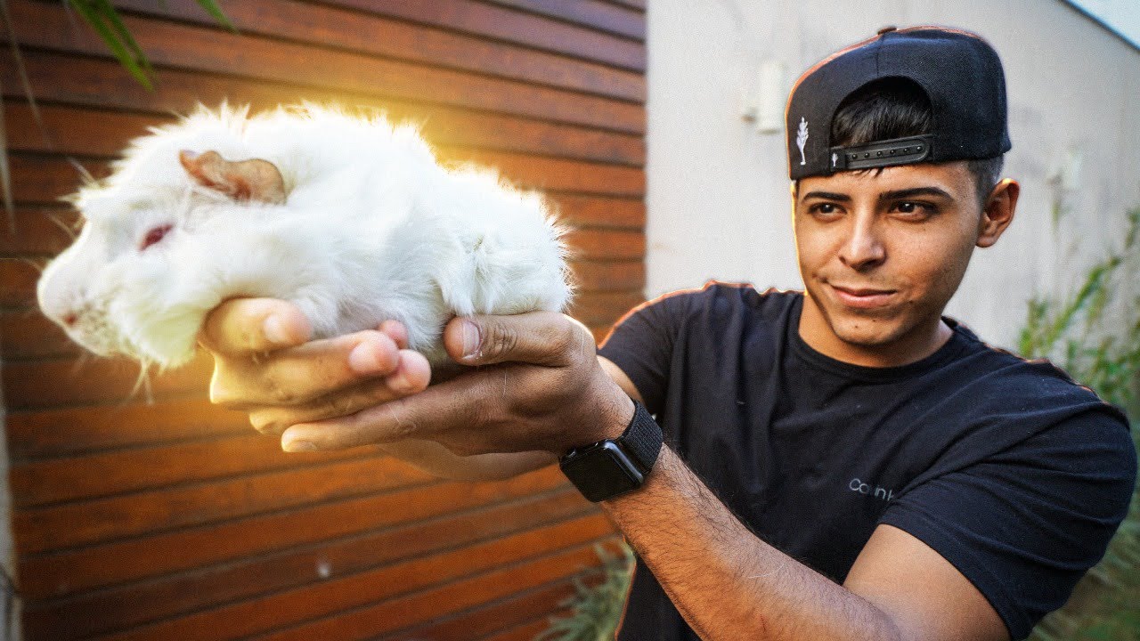 TIVE QUE COMPRAR OUTRO MASCOTE