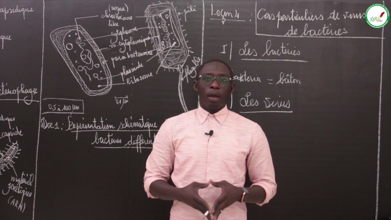 Cours - Première L - SVT : Cas particulier de virus et de bactéries / M. Beye