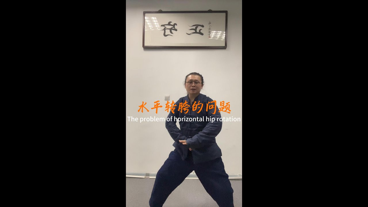 水平转胯的问题 #kungfu #martialarts #chineseculture #内劲 #太極拳 #武術